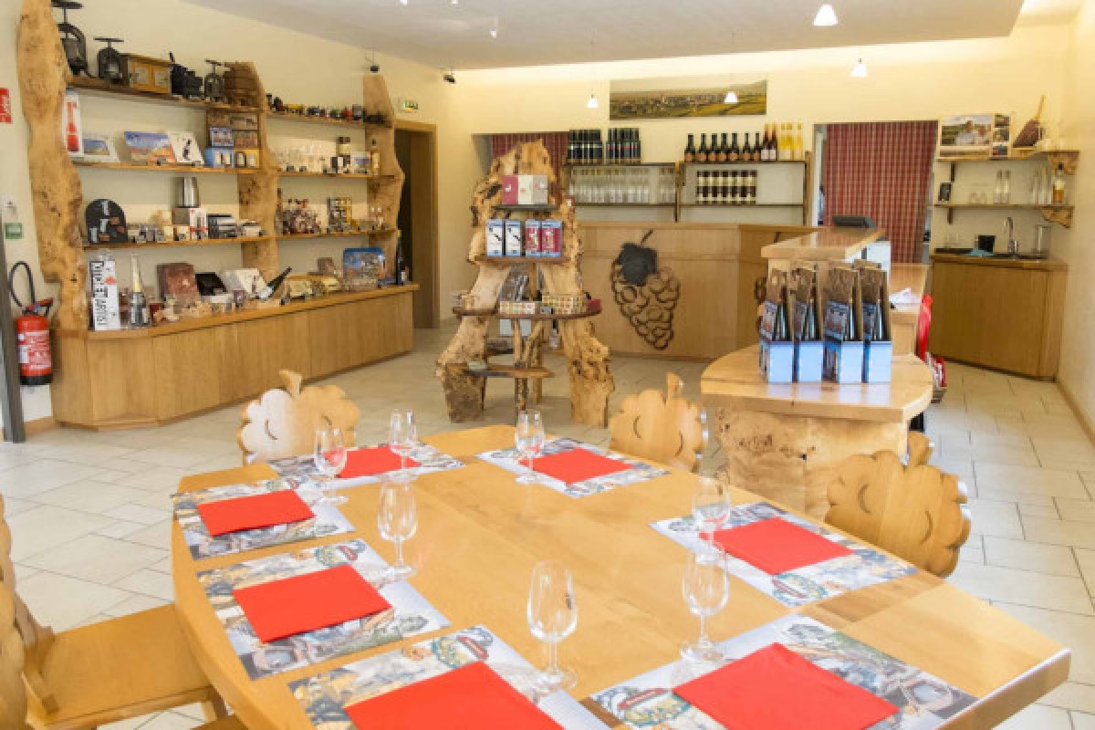 Alsace Wine Experience: Guided Tasting & Cellar Tour - Bonjour Fun