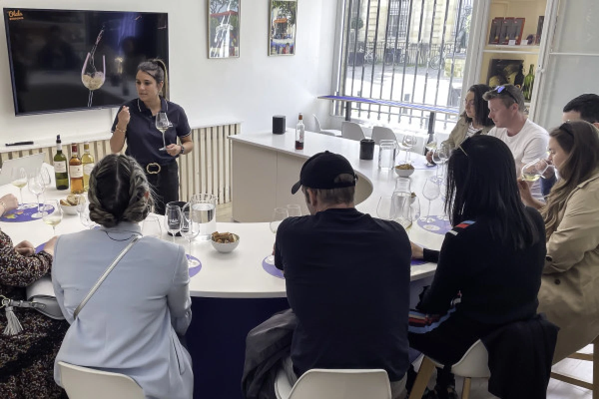 Tasting workshop "Introduction to Bordeaux wines" - Bonjour Fun