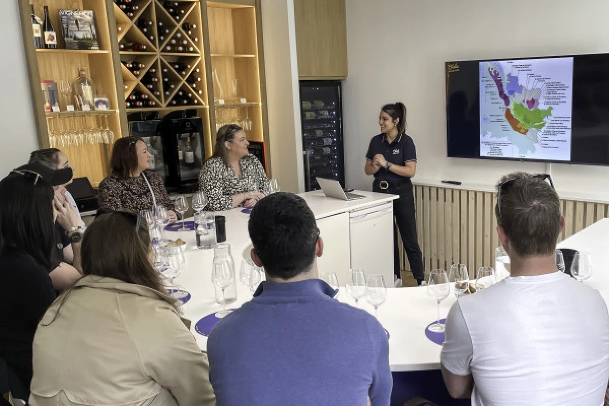 Tasting workshop "Introduction to Bordeaux wines" - Bonjour Fun