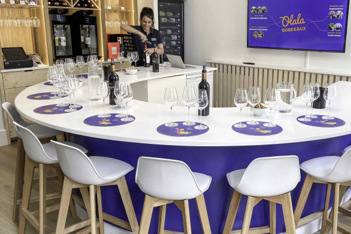 Tasting workshop "Introduction to Bordeaux wines" - Bonjour Fun