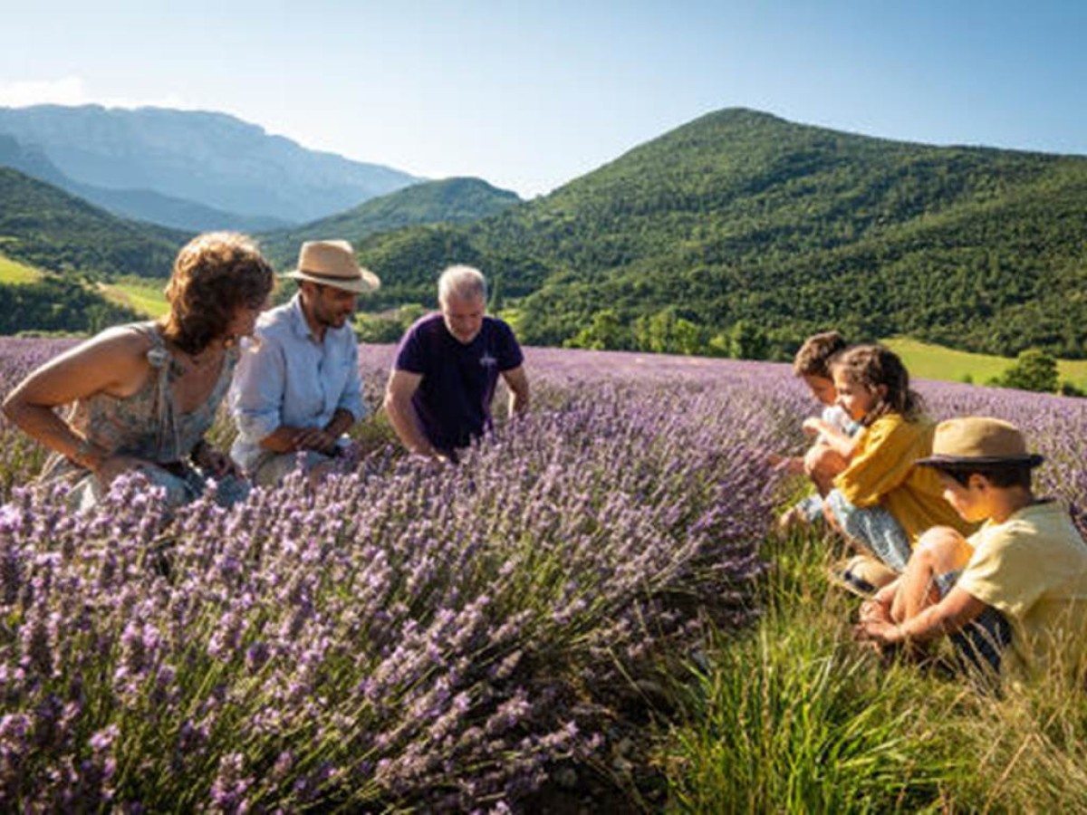 Atelier distillation - En anglais - Bonjour Fun