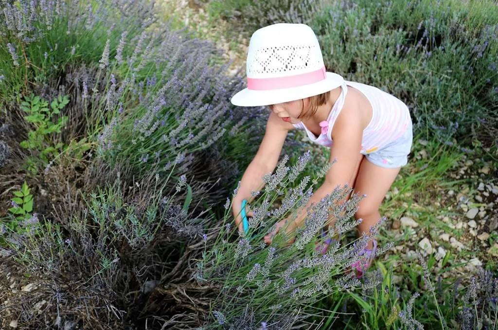 Atelier distillation - En anglais - Bonjour Fun