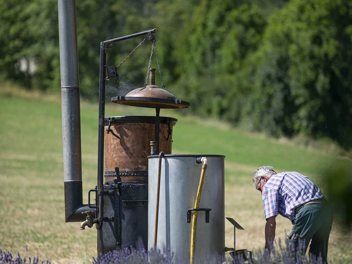Atelier distillation - interne - Bonjour Fun