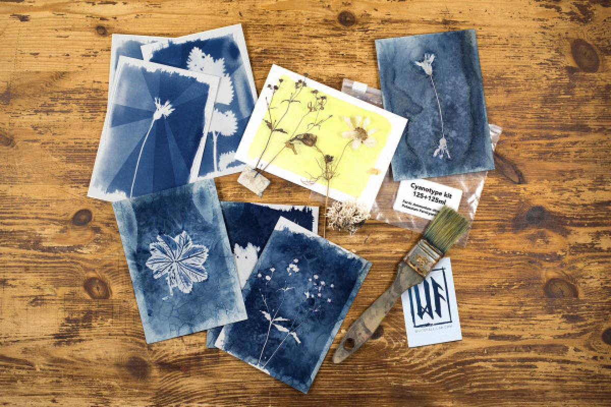 Photo workshop - Cyanotype printing - Bonjour Fun