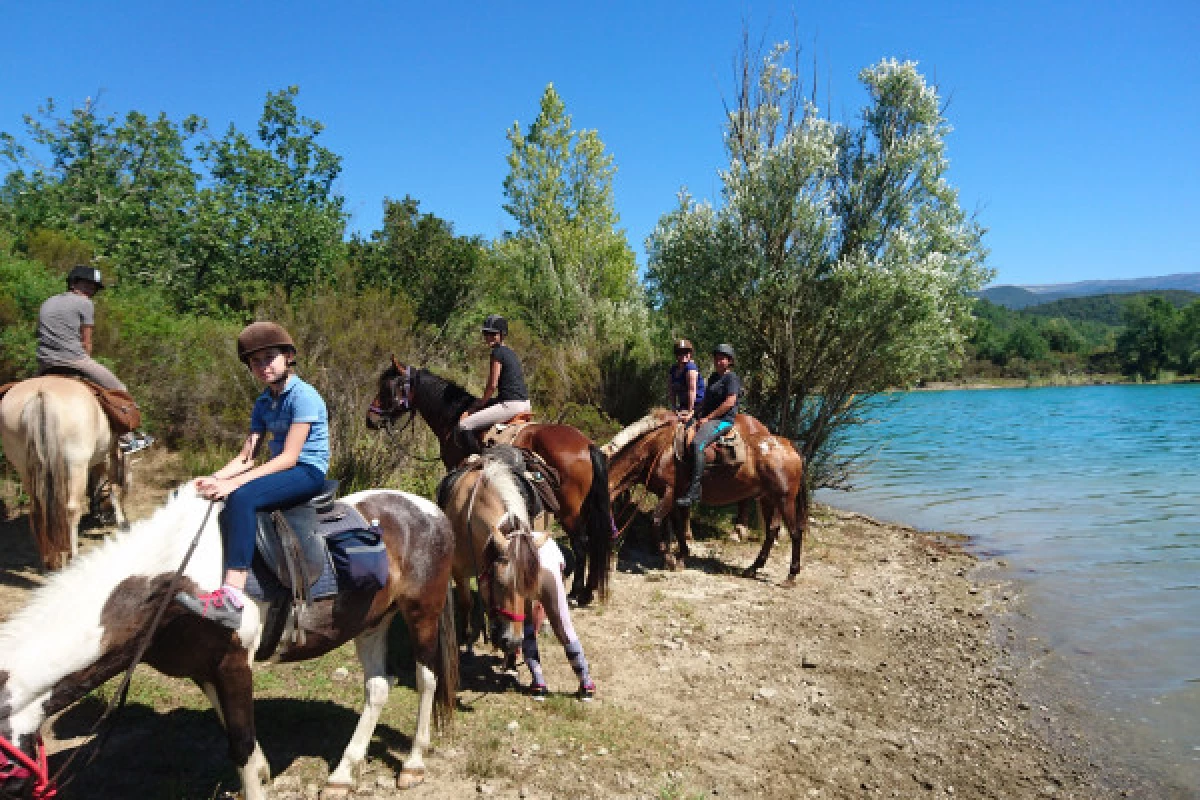 Horseback riding "relaxed 1/2 day" - Bonjour Fun