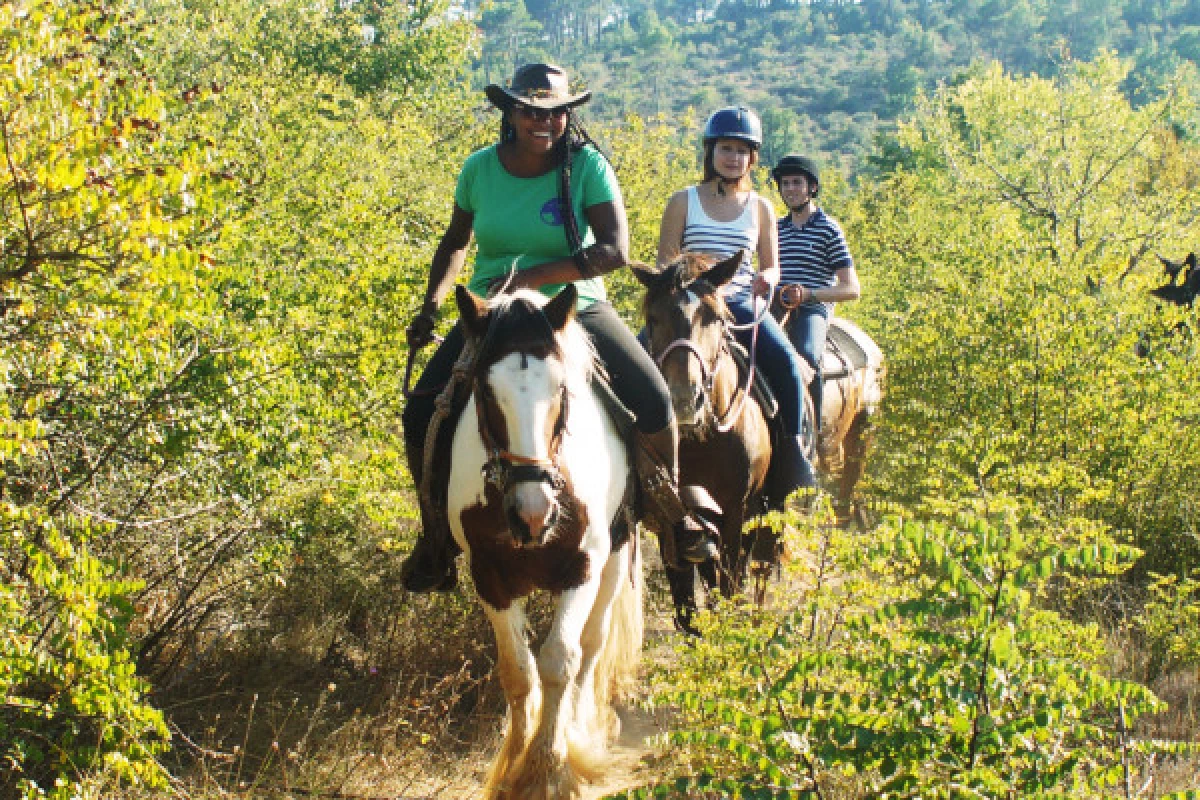 Horseback riding "relaxed 1/2 day" - Bonjour Fun