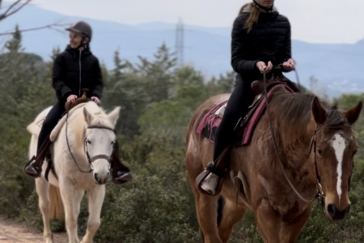 Horseback riding and wine tasting in the Esterel massif - Bonjour Fun