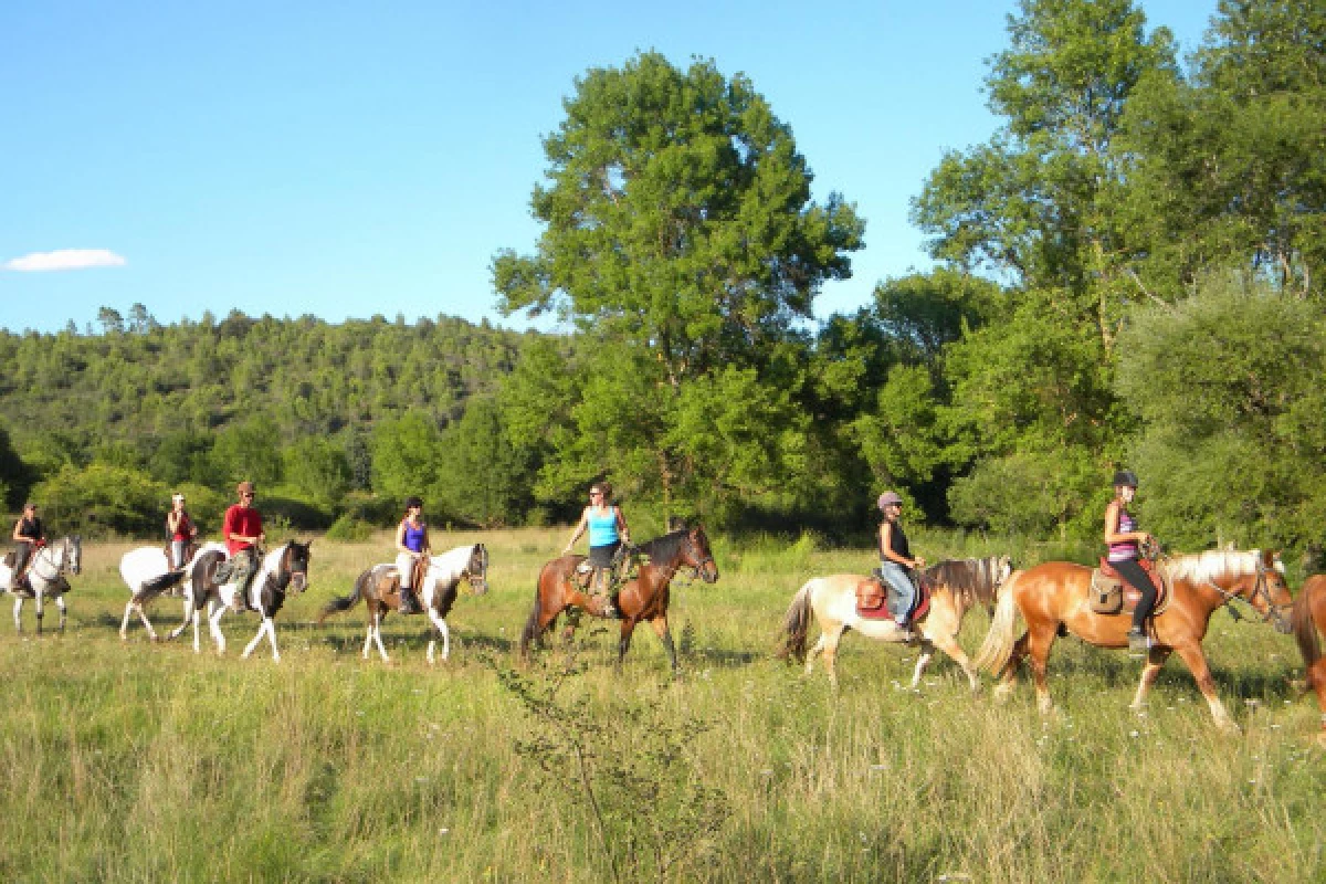 Horse riding - Discovery of the Lake of Saint Cassien 2h - Bonjour Fun