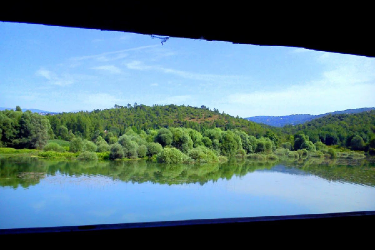 Horse riding - Discovery of the Lake of Saint Cassien 2h - Bonjour Fun