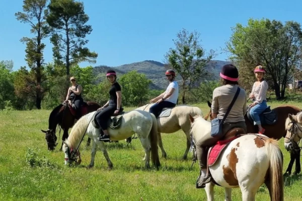 Horse riding in the vineyards + tasting in Grimaud - Bonjour Fun