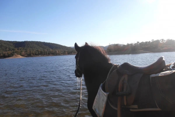 Hike Saint-Cassien Lake - Bonjour Fun