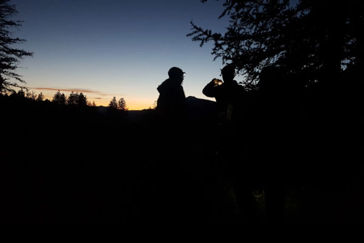 Walking under the stars in the Mercantour - Bonjour Fun