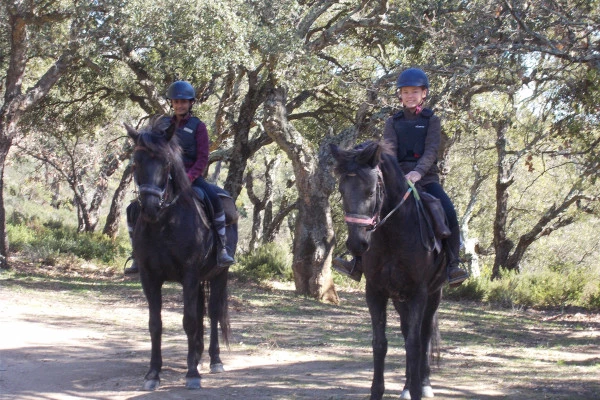 Half day horse riding "Sea and mountain view" - Bonjour Fun