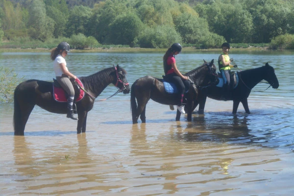 Half day horse riding "Sea and mountain view" - Bonjour Fun