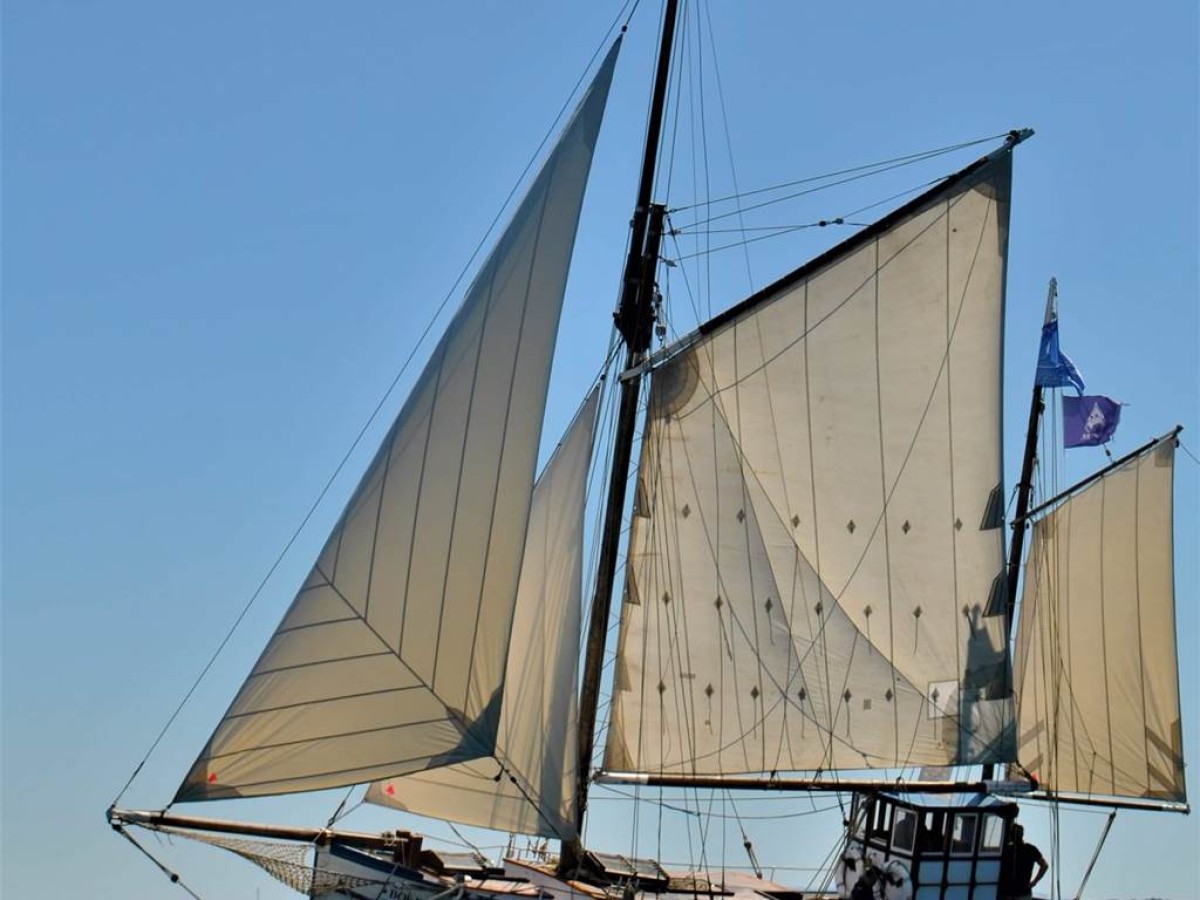Balade en mer à la journée sur la Boréale - Bonjour Fun
