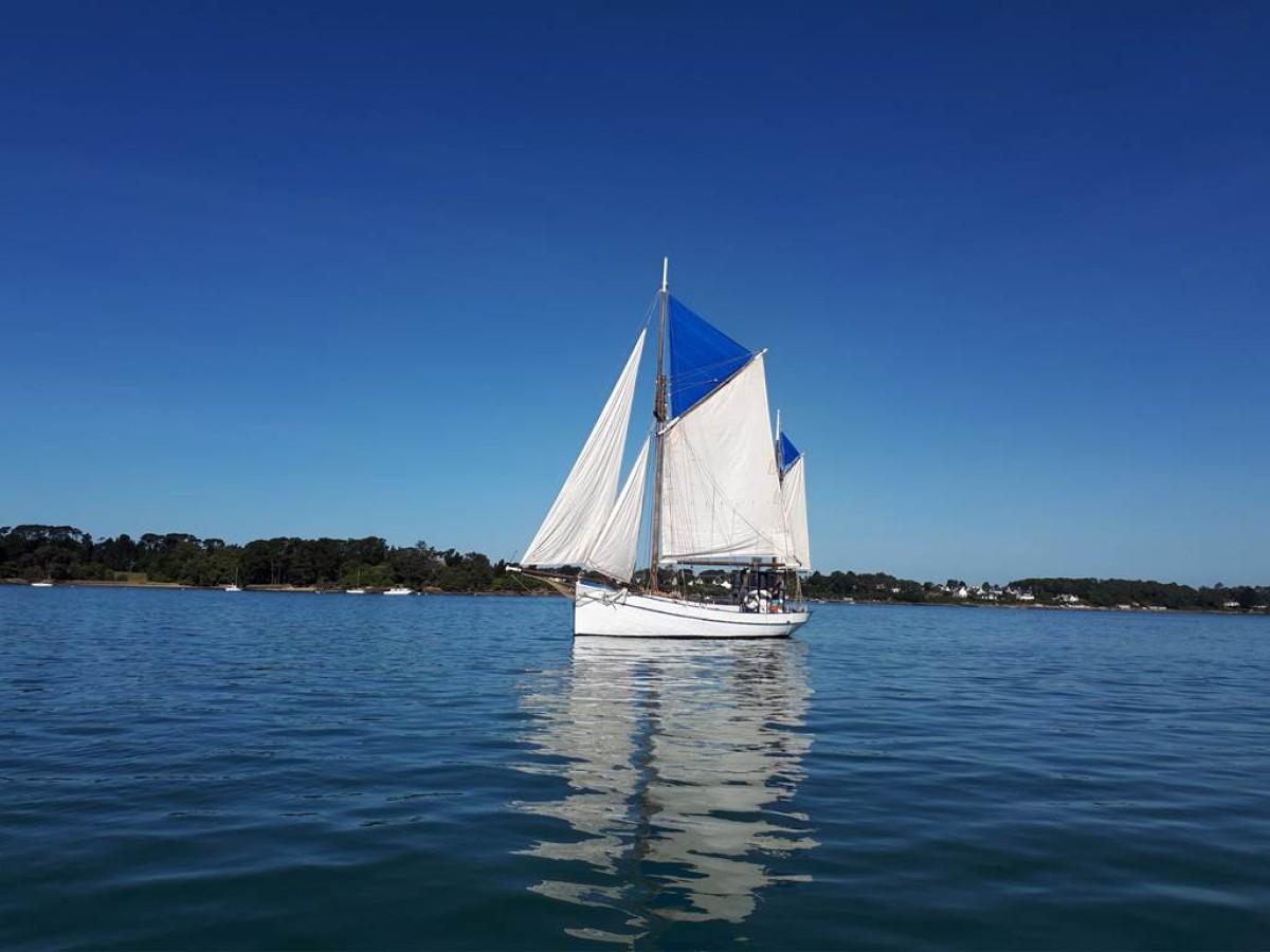 Balade en mer sur la Boréale Demi journée - Bonjour Fun