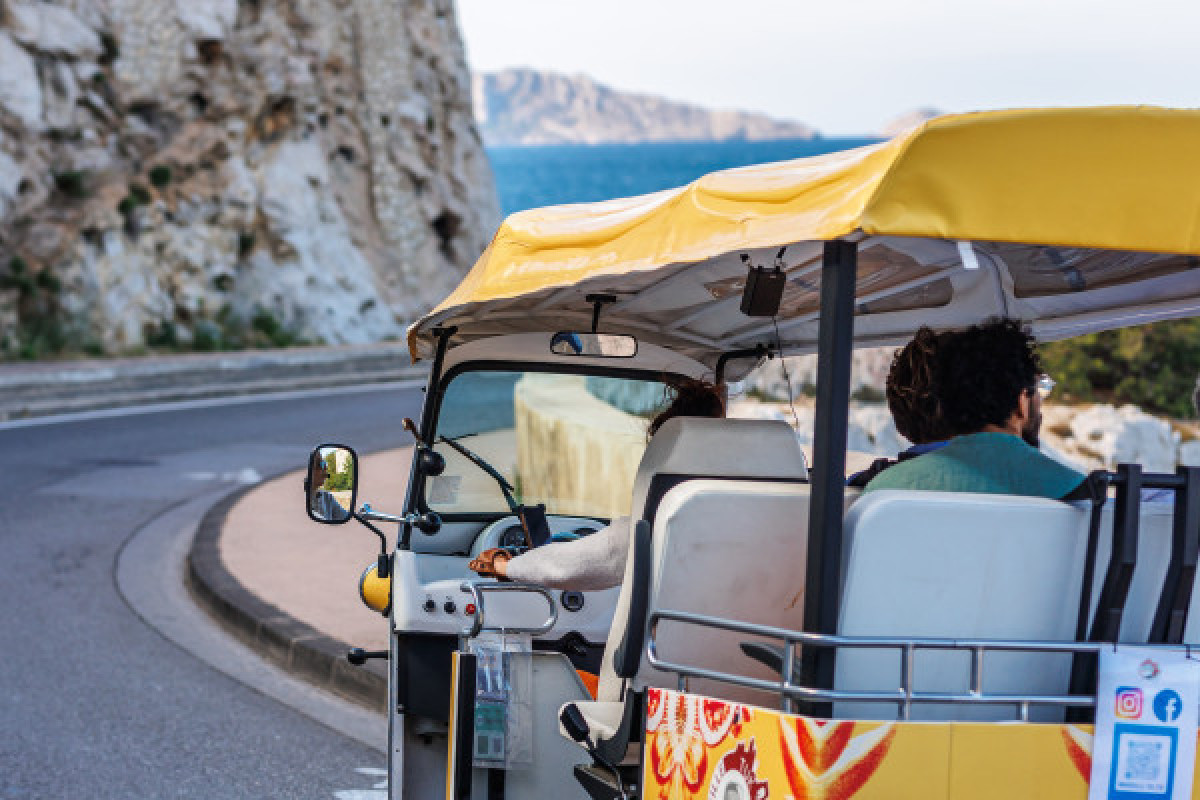 Notre dame tour and short old city tour - Bonjour Fun