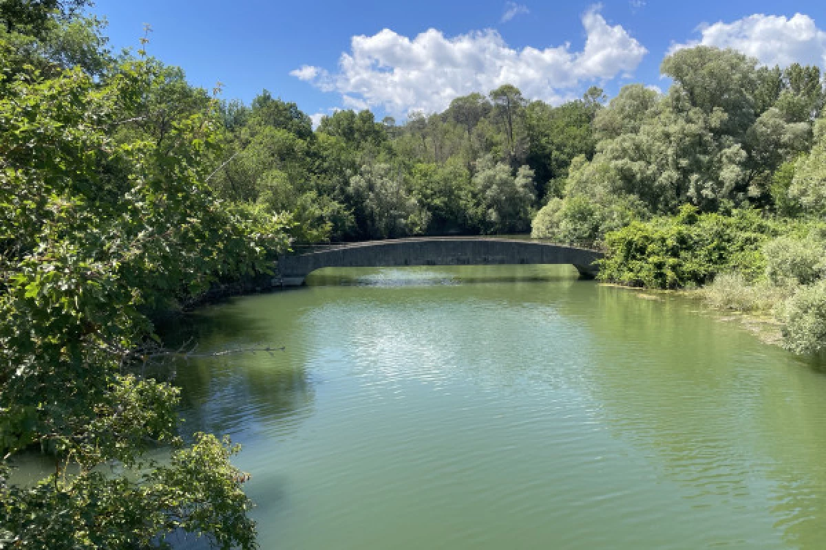 Electric mountain bike ride around the Saint Cassien lake - Bonjour Fun