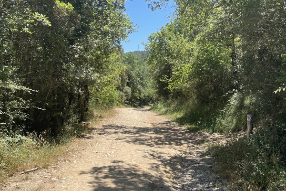 Electric mountain bike ride around the Saint Cassien lake - Bonjour Fun