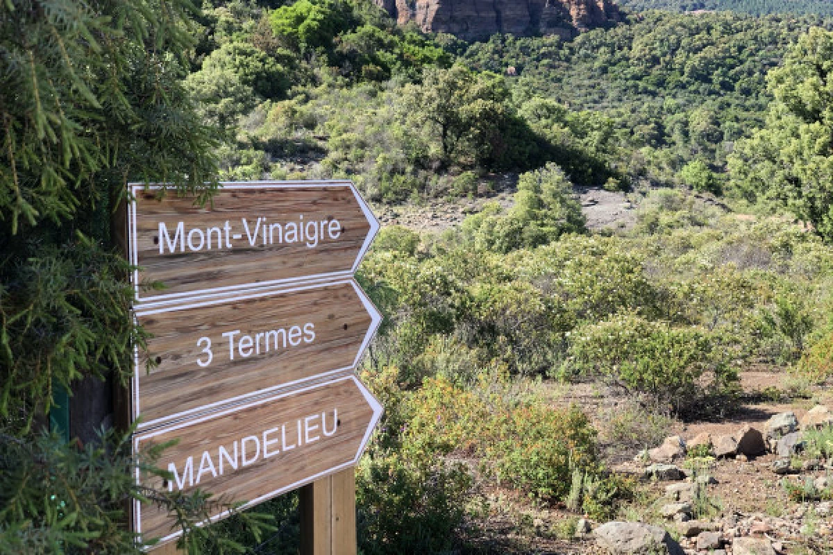 Electric mountain bike ride in the Esterel Massif - Bonjour Fun