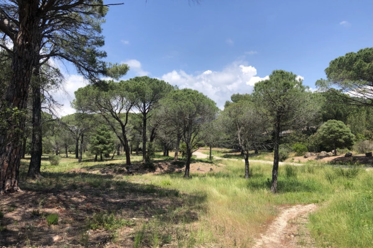 Electric mountain bike ride - Rouet plateau - Bonjour Fun