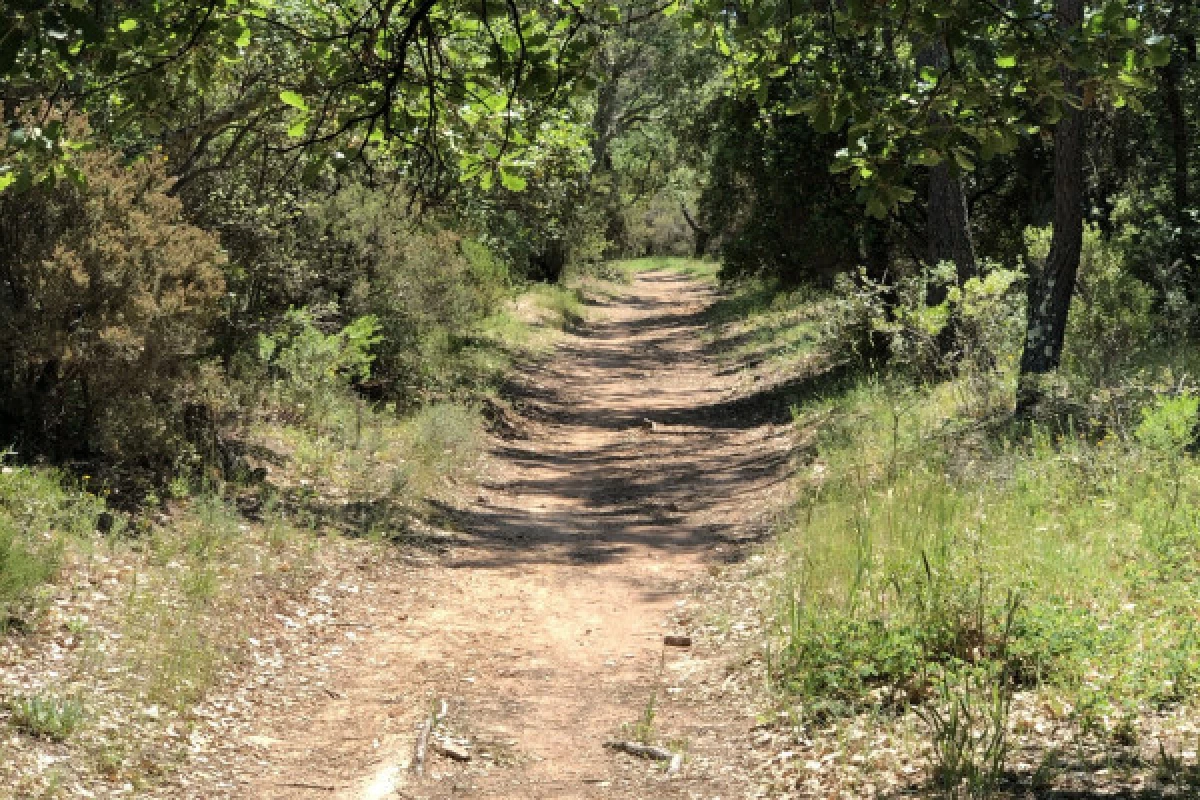 Electric mountain bike ride - Rouet plateau - Bonjour Fun