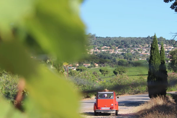 Vintage Wine Tour around St Tropez, 1/2 day - Bonjour Fun