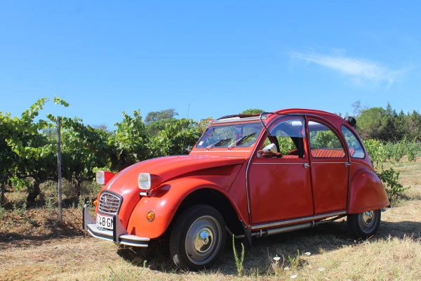 Vintage Wine Tour around St Tropez, 1/2 day - Bonjour Fun