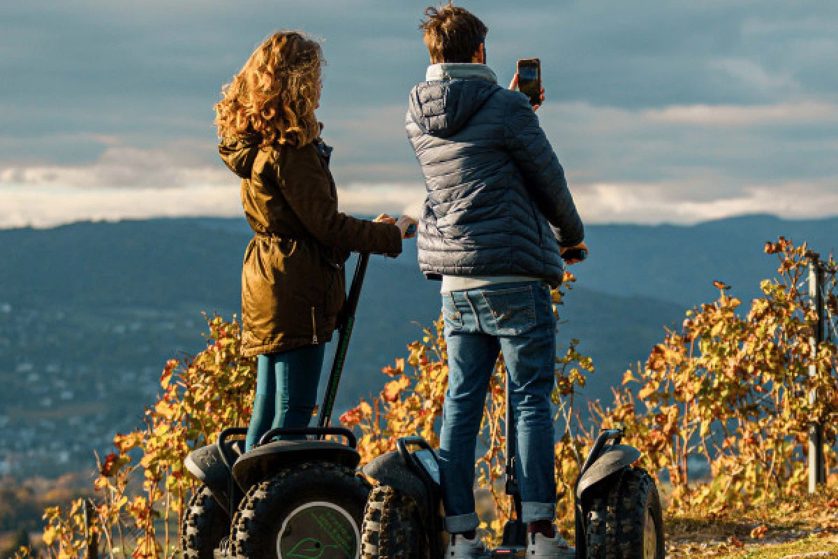 Segway tour 1h00 - Vineyards - Bonjour Fun