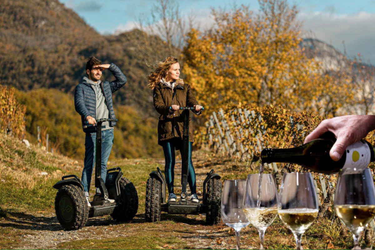 Segway Tour + tasting in Chignin - Bonjour Fun