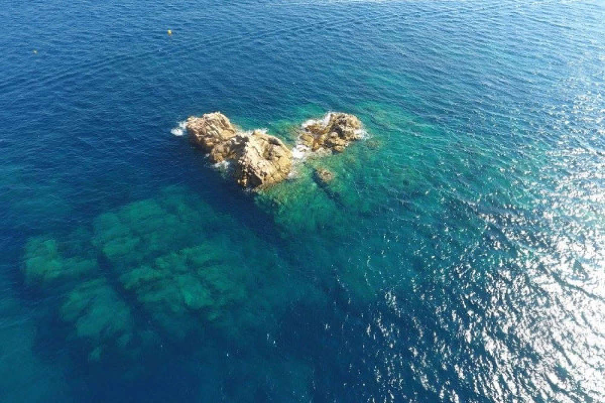 Discover Scuba Diving Boat Hyères (Regiondo) - Bonjour Fun