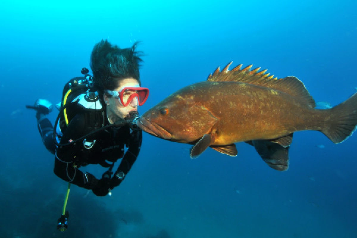 Discover Scuba Diving Boat Saint-Tropez (Regiondo) - Bonjour Fun