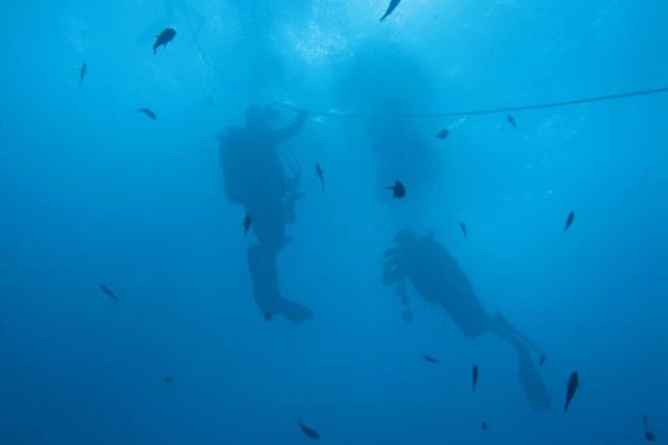 Scuba Diving for Beginners - Europlongée - Bonjour Fun