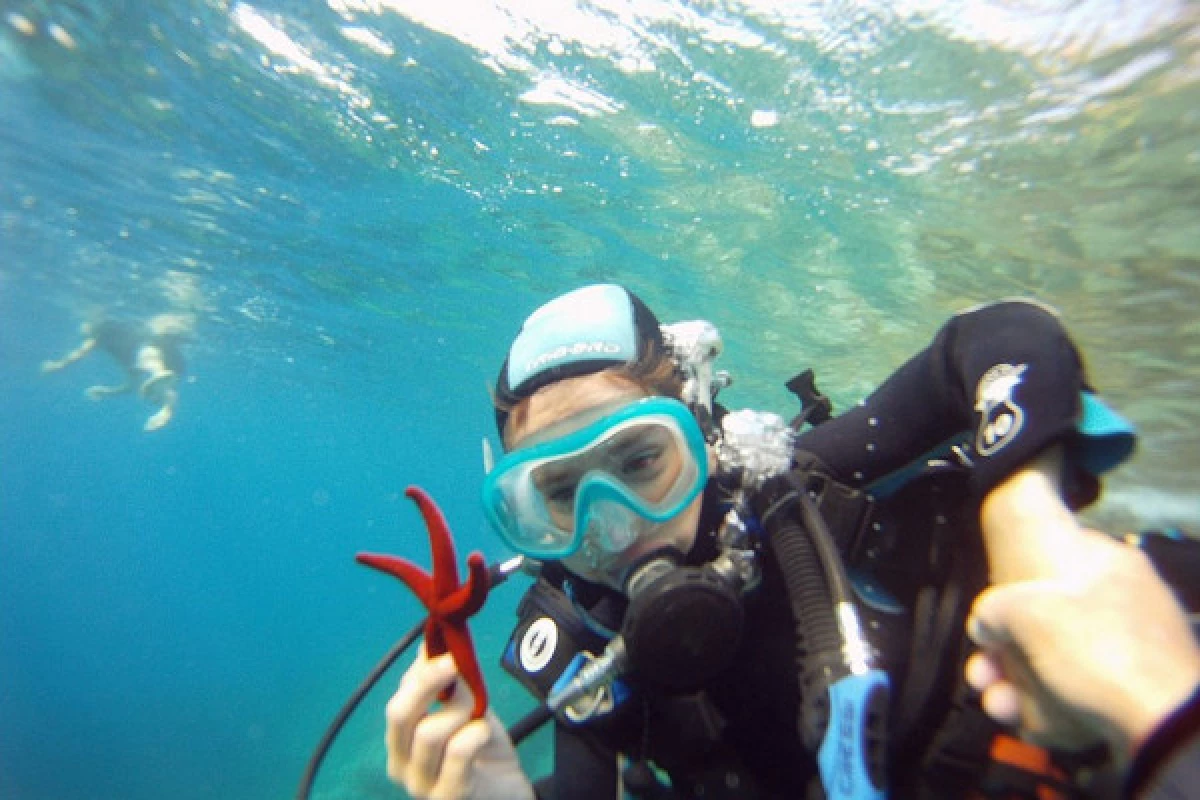 First Scuba Diving - Fréjus - Bonjour Fun