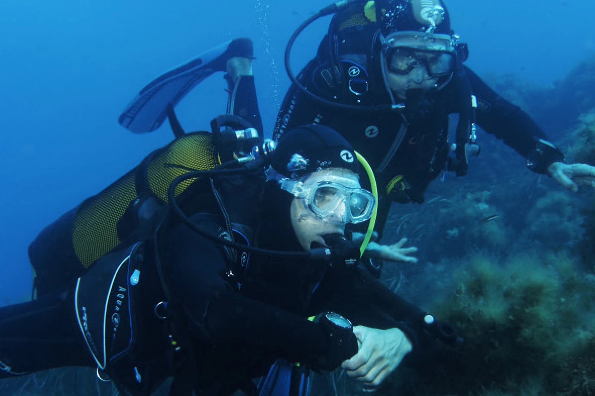 First dive - Port Fréjus - Bonjour Fun