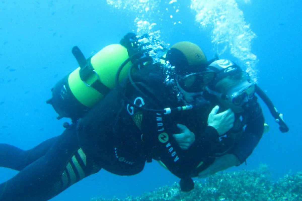 First dive - Port Fréjus - Bonjour Fun