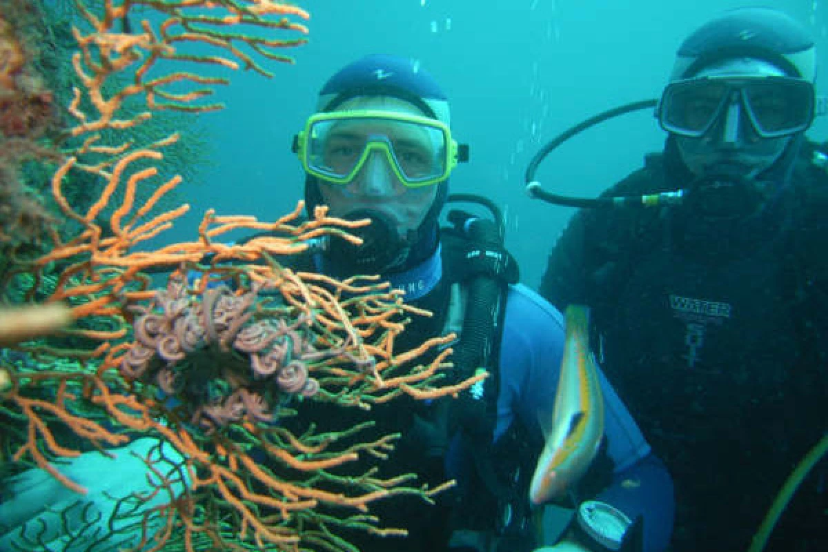 First dive - Port Fréjus - Bonjour Fun