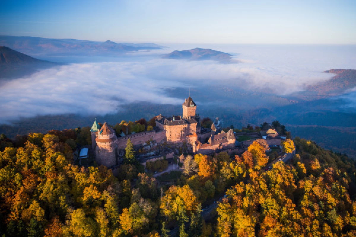 Priority-access ticket - The castle of Haut-Koenigsbourg - Bonjour Fun