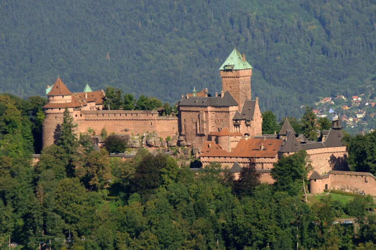 Priority-access ticket - The castle of Haut-Koenigsbourg - Bonjour Fun