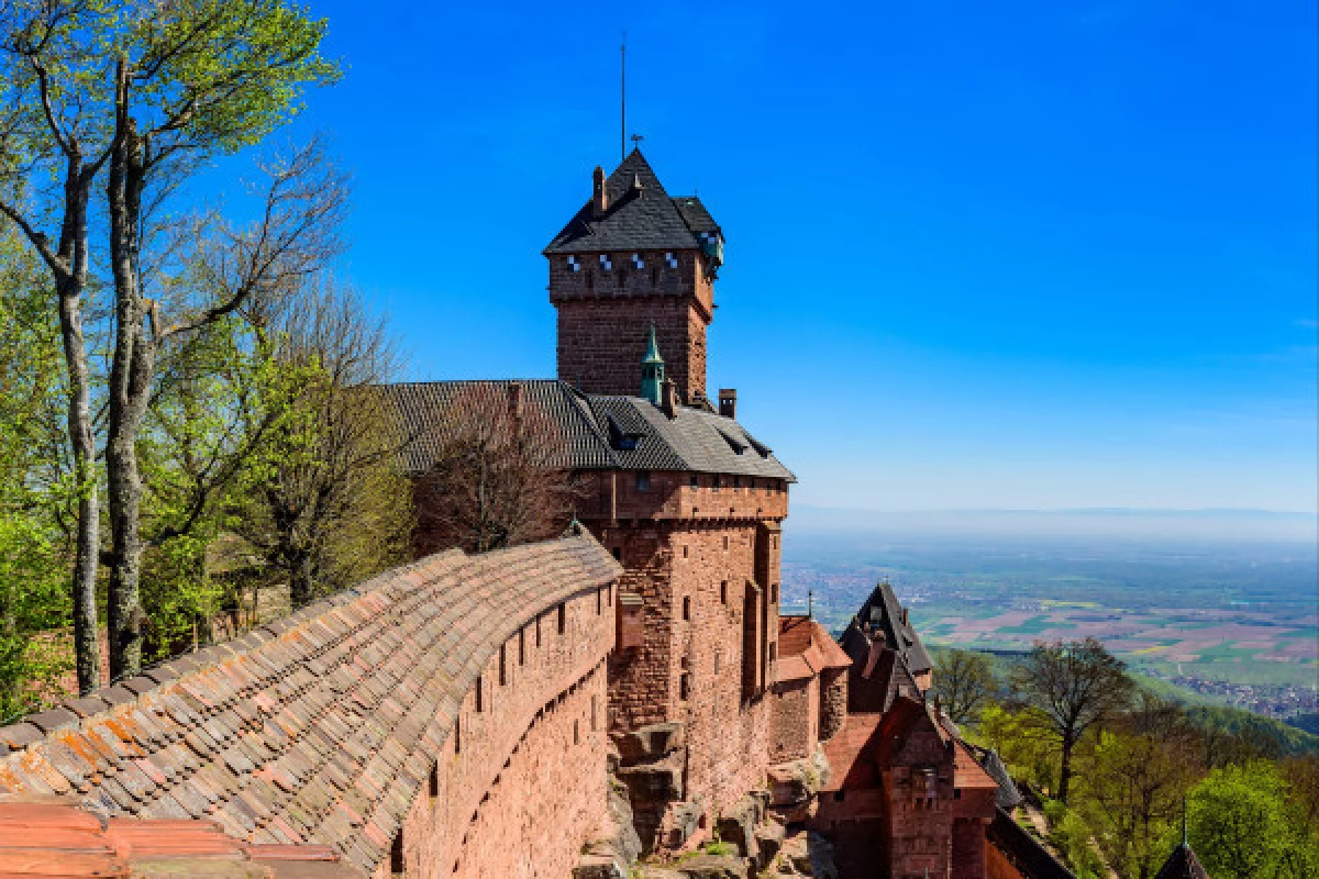 Priority-access ticket - The castle of Haut-Koenigsbourg - Bonjour Fun