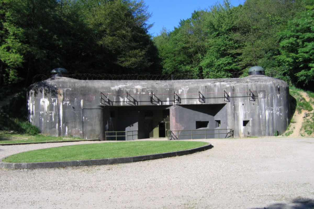 Maginot Line "Fort de Schoenenbourg" entrance ticket - Bonjour Fun