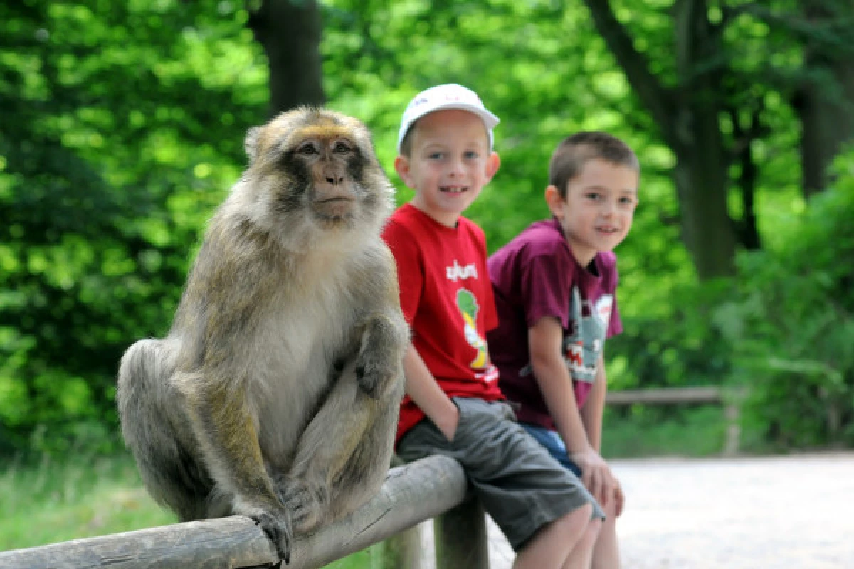 Admission ticket - The “Montagne des Singes” - Bonjour Fun