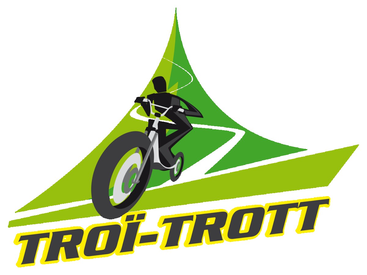 BILLET TROÏ-TROTT ÉLECTRIQUE NOCTURNE - Bonjour Fun