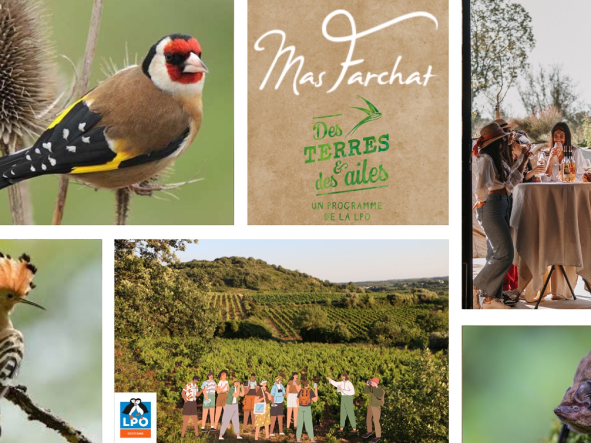 Biodiversité & Pause Gourmande - Bonjour Fun