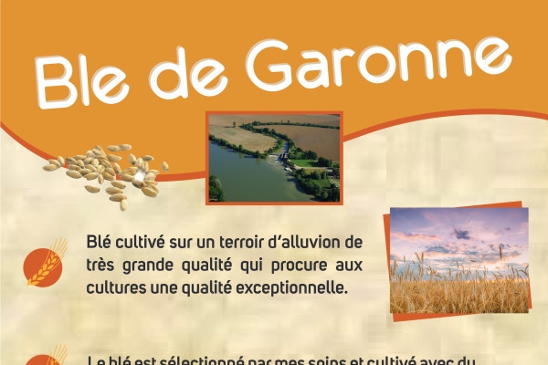 Bordeaux: Garonne French Crepes - Bonjour Fun