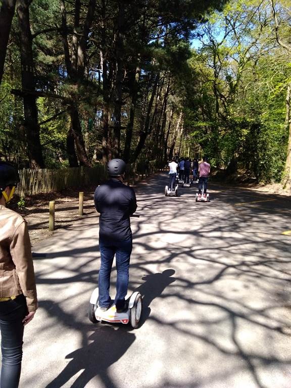Balade découverte parc des Gayeulles RENNES - Bonjour Fun