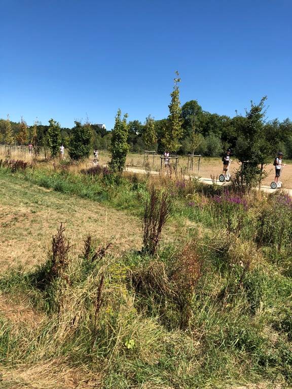 Balade découvertes aux prairies Saint Martin , Rennes. - Bonjour Fun
