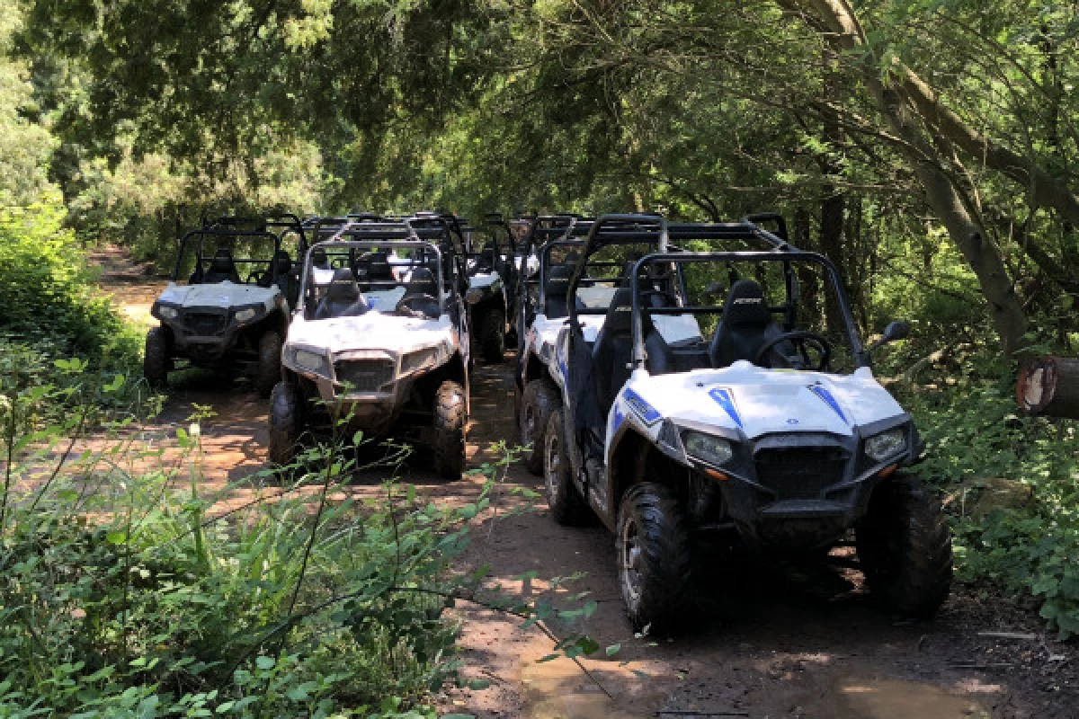 Buggy tour  - Bonjour Fun