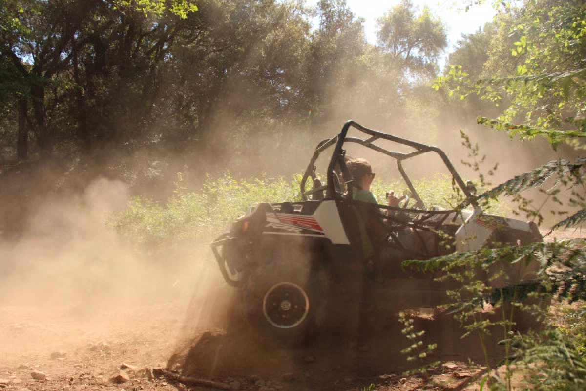 Buggy tour  - Bonjour Fun