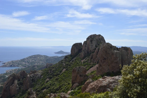 National Forestry Organization map - Esterel State Forest - Bonjour Fun